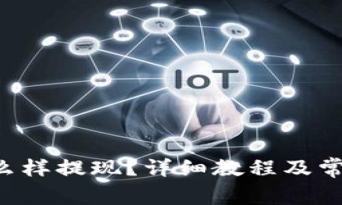  TB钱包怎么样提现？详细教程及常见问题解析