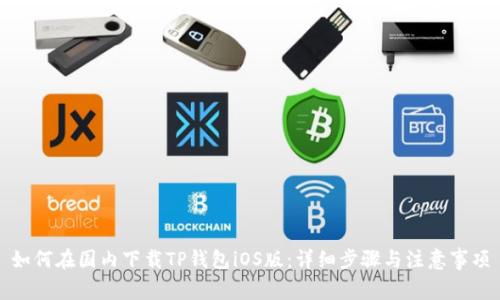 如何在国内下载TP钱包iOS版：详细步骤与注意事项